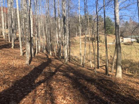 155 Stout Hollow Road Hampton Tn 37658, Hampton, TN 37658 photo 19