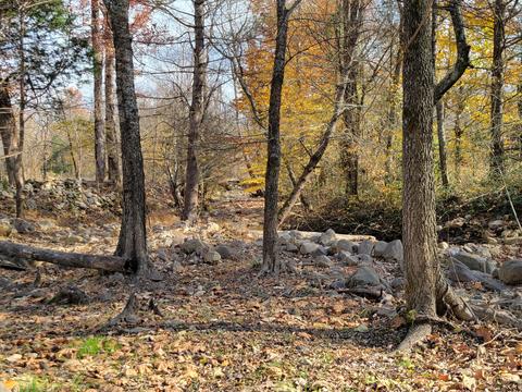 108 Brown Drive Drive Chuckey Tn 37641, Chuckey, TN 37641 photo 18