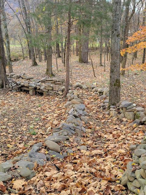 108 Brown Drive Drive Chuckey Tn 37641, Chuckey, TN 37641 photo 14