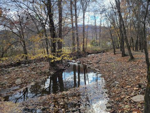 108 Brown Drive Drive Chuckey Tn 37641, Chuckey, TN 37641 photo 16