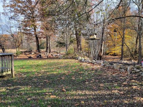 108 Brown Drive Drive Chuckey Tn 37641, Chuckey, TN 37641 photo 9