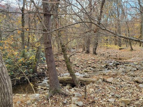 108 Brown Drive Drive Chuckey Tn 37641, Chuckey, TN 37641 photo 12