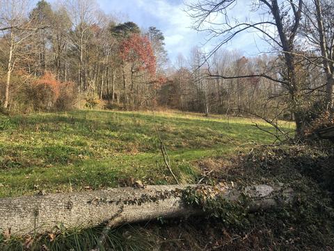 150 Stout Hollow Road Hampton Tn 37658, Hampton, TN 37658 photo 14