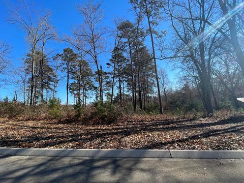 lot96 Shiloh Rutledge Tn 37861, Rutledge, TN 37861