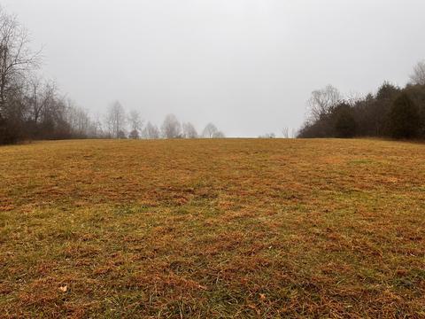 1504 Cox Chapel Road Duffield Va 24244, Duffield, VA 24244 photo 23
