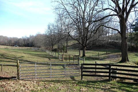 1504 Cox Chapel Road Duffield Va 24244, Duffield, VA 24244 photo 7