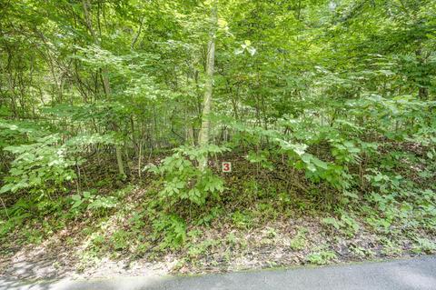 119 Winters Hollow Private Drive Roan Mountain Tn 37687, Roan Mountain, TN 37687