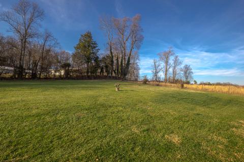 169 Browder Road Gray Tn 37615, Gray, TN 37615 photo 50