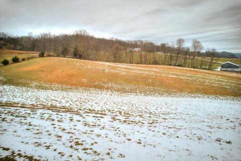 612 Snapp Bridge Road Limestone Tn 37681, Limestone, TN 37681 photo 3