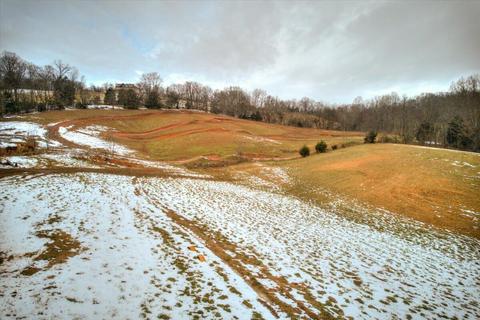 612 Snapp Bridge Road Limestone Tn 37681, Limestone, TN 37681 photo 32