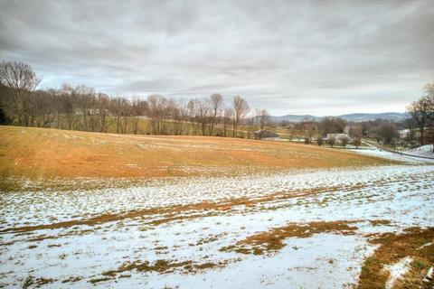 612 Snapp Bridge Road Limestone Tn 37681, Limestone, TN 37681 photo 67