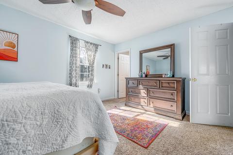 228 Springview Drive Gray Tn 37615, Gray, TN 37615 photo 16