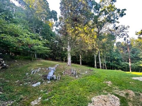 137 Jd King Road Gray Tn 37615, Gray, TN 37615 photo 5