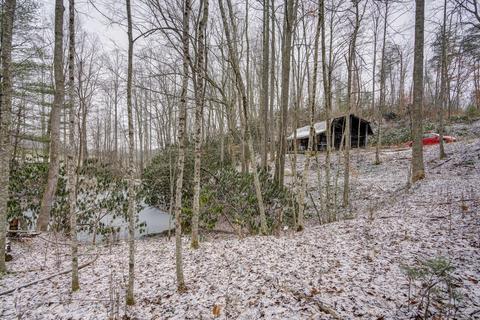 287 Escape Mountain Rd, Hampton, TN 37658 photo 1
