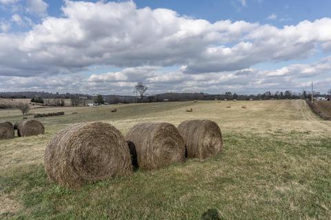 1675 Sand Bar Road Chuckey Tn 37641, Chuckey, TN 37641 photo 26
