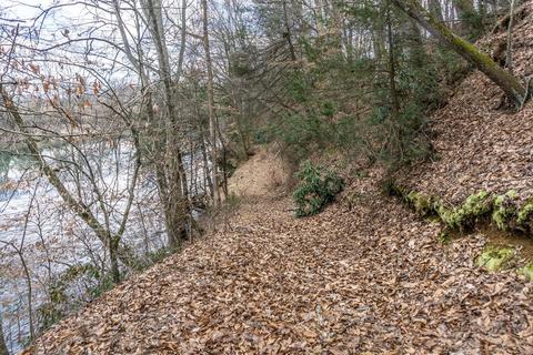 1675 Sand Bar Road Chuckey Tn 37641, Chuckey, TN 37641 photo 2
