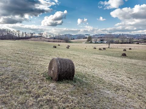 1675 Sand Bar Road Chuckey Tn 37641, Chuckey, TN 37641 photo 57