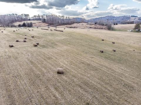 1675 Sand Bar Road Chuckey Tn 37641, Chuckey, TN 37641 photo 9