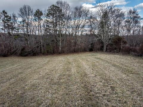 1675 Sand Bar Road Chuckey Tn 37641, Chuckey, TN 37641 photo 56