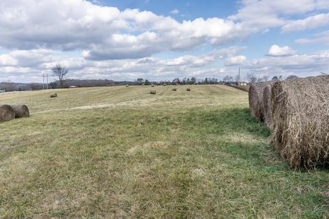 1675 Sand Bar Road Chuckey Tn 37641, Chuckey, TN 37641 photo 4