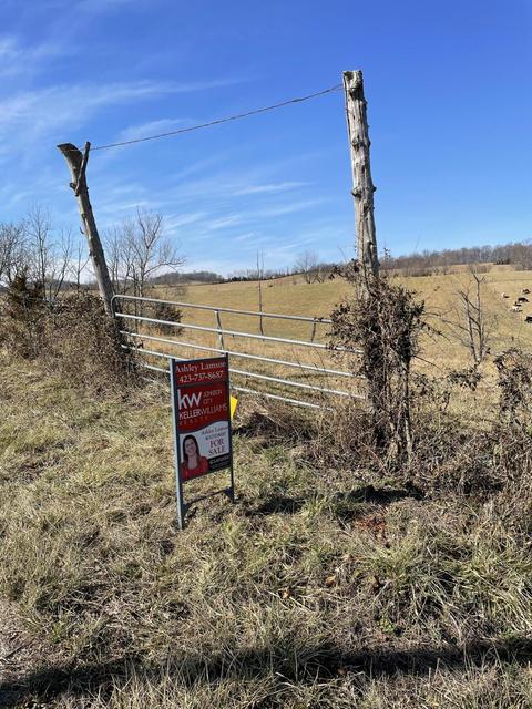 718 Pleasant Grove Road, Limestone, TN 37681 photo 3