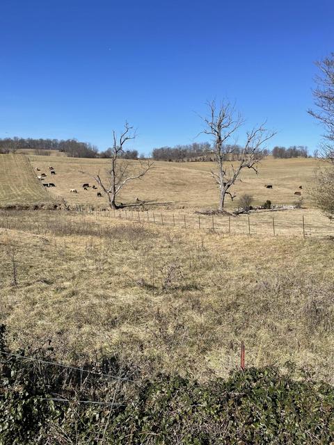 718 Pleasant Grove Road, Limestone, TN 37681 photo 2