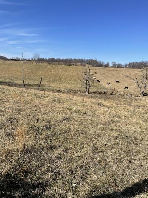 718 Pleasant Grove Road, Limestone, TN 37681 photo 1