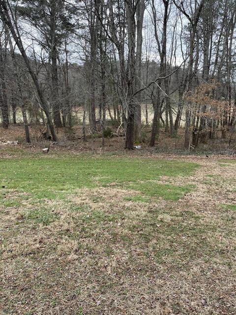 150 Wiggand Lane Erwin Tn 37650, Erwin, TN 37650 photo 6