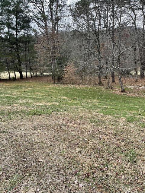 150 Wiggand Lane Erwin Tn 37650, Erwin, TN 37650 photo 5
