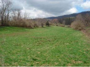 tbd Rittertown Road Hampton Tn 37658, Hampton, TN 37658