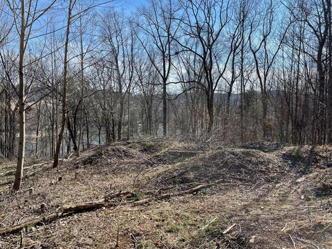 1084 Biltmore Place Piney Flats Tn 37686, Piney Flats, TN 37686