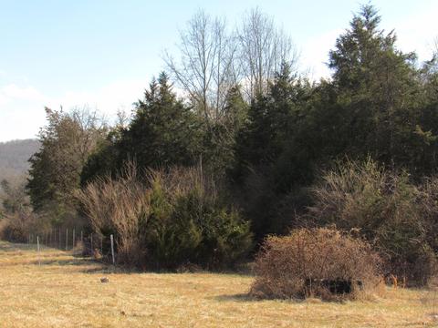 tbd Woodway Road Pennington Gap Va 24277, Pennington Gap, VA 24277