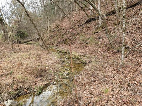 305 Bays Mtn Road Mohawk Tn 37810, Mohawk, TN 37810 photo 15