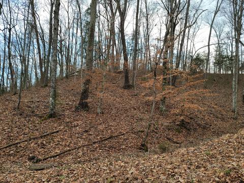 305 Bays Mtn Road Mohawk Tn 37810, Mohawk, TN 37810 photo 21