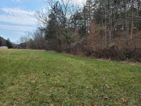 305 Bays Mtn Road Mohawk Tn 37810, Mohawk, TN 37810 photo 18