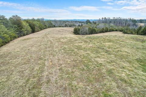 305 Bays Mtn Road Mohawk Tn 37810, Mohawk, TN 37810 photo 13
