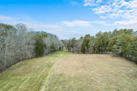 305 Bays Mtn Road Mohawk Tn 37810, Mohawk, TN 37810 photo 5