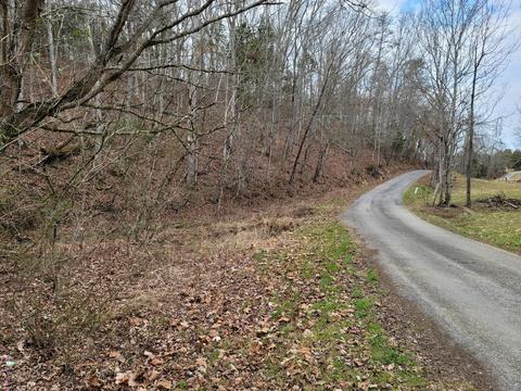 305 Bays Mtn Road Mohawk Tn 37810, Mohawk, TN 37810 photo 17