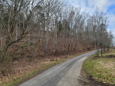 305 Bays Mtn Road Mohawk Tn 37810, Mohawk, TN 37810 photo 16