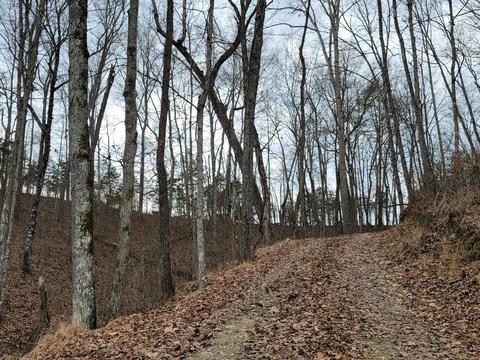 305 Bays Mtn Road Mohawk Tn 37810, Mohawk, TN 37810 photo 20