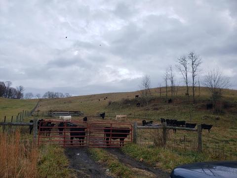 lot20 Buffalo Pond Road Bristol Va 24202, Bristol, VA 24202