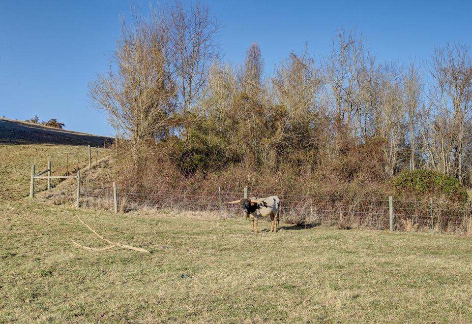  285 Old Baxter Road Fall Branch Tn 37656, Fall Branch, TN 37656 photo 43