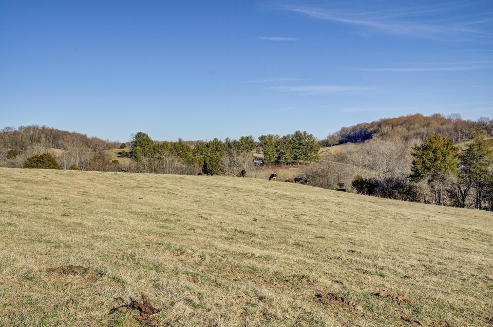  285 Old Baxter Road Fall Branch Tn 37656, Fall Branch, TN 37656 photo 39