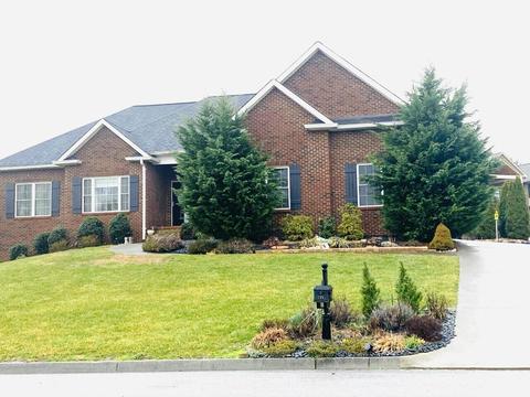115 Sunset Meadows Court Gray Tn 37615, Gray, TN 37615 photo 1