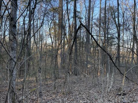 8 Acres Cosby Highway Cobsy Tn 37722, Cobsy, TN 37722