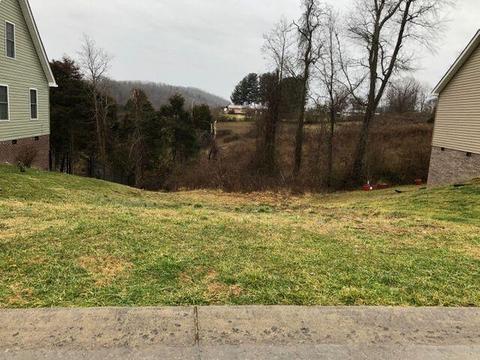 132 W Wilkshire Place Bristol Tn 37620, Bristol, TN 37620