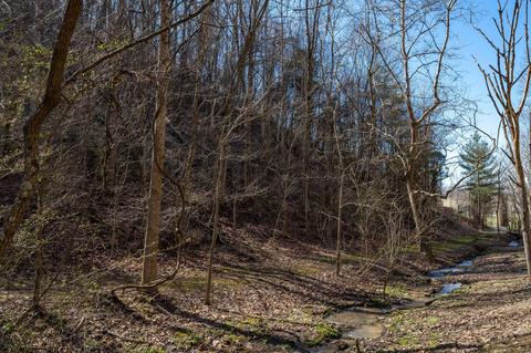 888 Shadden Road Gray Tn 37615, Gray, TN 37615 photo 48