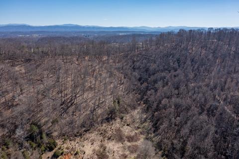 888 Shadden Road Gray Tn 37615, Gray, TN 37615 photo 13