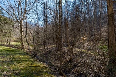 888 Shadden Road Gray Tn 37615, Gray, TN 37615 photo 47