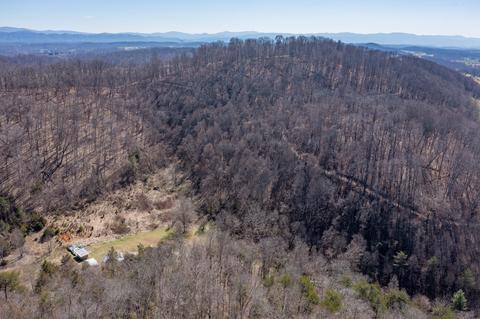 888 Shadden Road Gray Tn 37615, Gray, TN 37615 photo 88